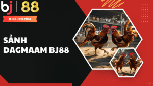 Sảnh Digmaam BJ88 – Đấu trường đá gà sống động chuẩn công nghệ