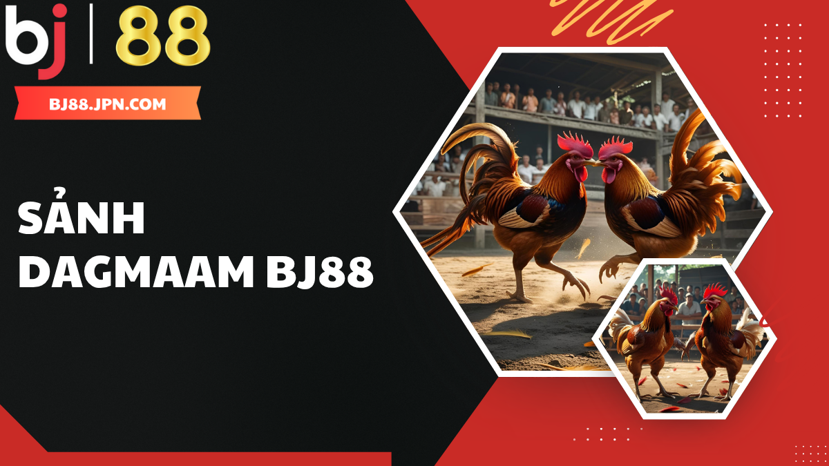 Sảnh Digmaam – Đấu trường đá gà sống động chuẩn công nghệ tại BJ88 1 Sảnh Digmaam – Đấu trường đá gà sống động chuẩn công nghệ tại BJ88